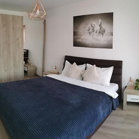Marimonti Apartment Braşov Eksteriør billede