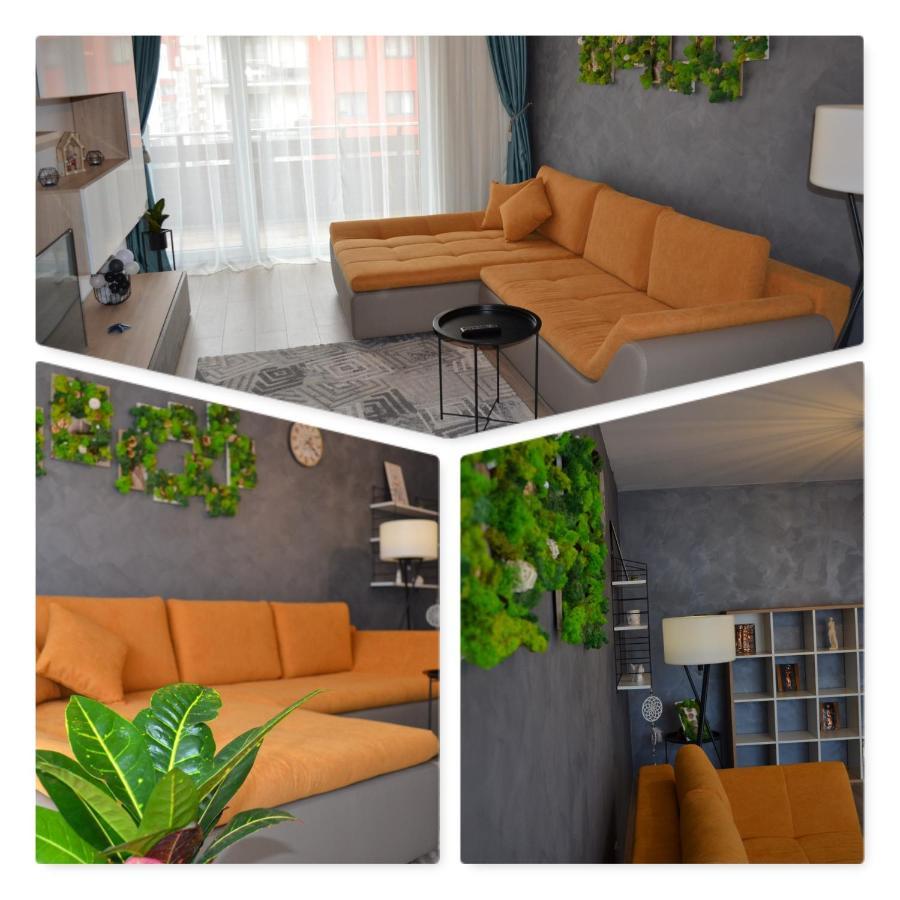 Marimonti Apartment Braşov Eksteriør billede