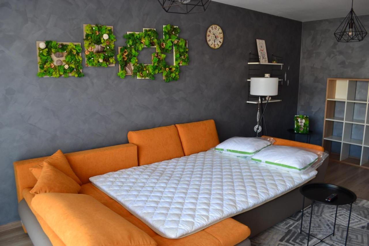 Marimonti Apartment Braşov Eksteriør billede