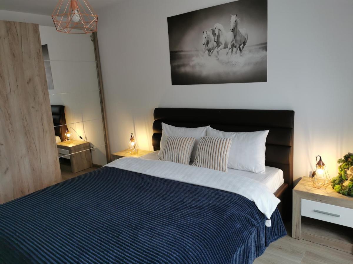 Marimonti Apartment Braşov Eksteriør billede